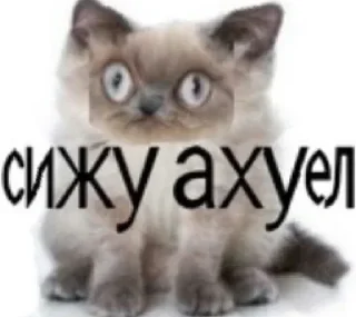 Telegram sticker 🤍 Больше стиков тут: @stikery4