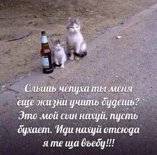 Telegram sticker 🤍 Больше стиков тут: @stikery4