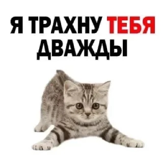 Sticker 🤍 Больше стиков тут: @stikery4