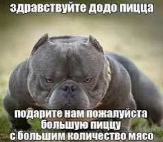 Sticker 🌟 додо пицца :: @fStikBot