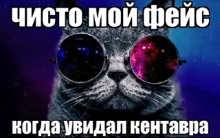 Video sticker 🌟 додо пицца :: @fStikBot