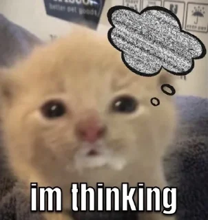 Telegram sticker 🌟 Прайд мемы :: @fStikBot