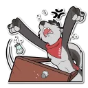 Video sticker 💢 Caim & Havoc