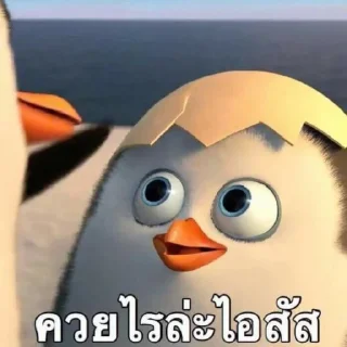 Telegram sticker 😁 cursing
