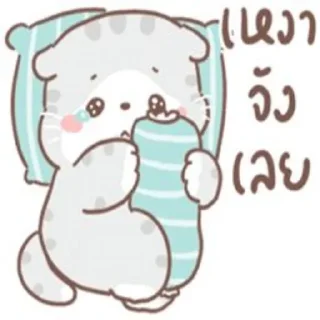Telegram sticker 😂 cursing