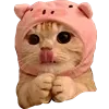 Sticker 😋 cats ➜ @emoji1