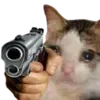 Video sticker 🔫 cats ➜ @emoji1