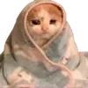 Video sticker 😔 cats ➜ @emoji1
