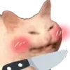 Video sticker 🔪 cats ➜ @emoji1
