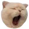 Sticker 😴 cats ➜ @emoji1