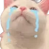 Video sticker 😭 cats ➜ @emoji1