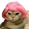 Sticker 👩 cats ➜ @emoji1