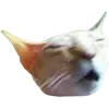 Sticker 😑 cats ➜ @emoji1