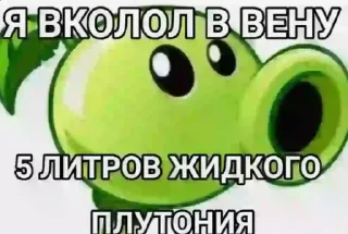 Video sticker 🌟 Мемы от нариков