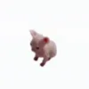 Video sticker 😺 I ♡ CATS! 🐈 �...