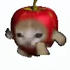 Video sticker 🥹 I ♡ CATS! 🐈 �...