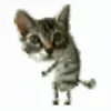 Video sticker 😺 I ♡ CATS! 🐈 �...