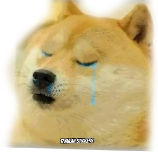 Video sticker 😭 Lokis kang pack