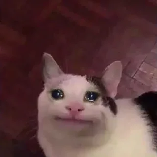 Телеграм стикер 😭 Gelolanastick by @fStikBot