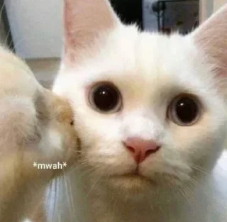 Телеграм стикер 😘 ink 😳