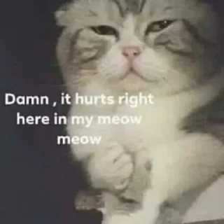 Telegram sticker 💔 𝐓𝐚𝐧𝐠 𝐒𝐚𝐧's pack by @Makima_UltraXBot