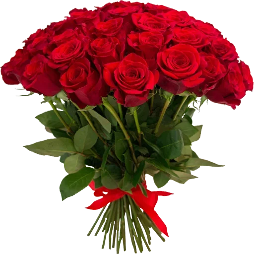 Телеграм стикер 💐 КУРЮ СИГАРЕТЫ