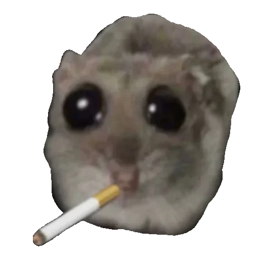 Телеграм стикер 🚬 КУРЮ СИГАРЕТЫ