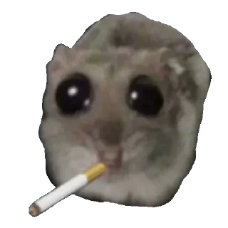 Video sticker 🚬 КУРЮ СИГАРЕТЫ