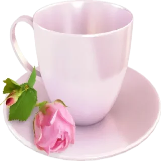 Video sticker ☕ Paulla @femininoo