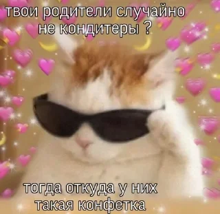 Video sticker 🍬 Больше стиков тут: @stikery4