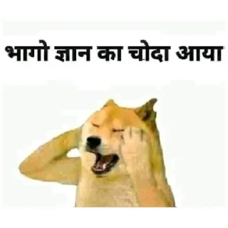 Video sticker ⭐ Majak hai don't take seriously