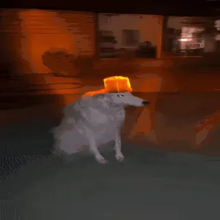 Video sticker 👻 개잡탕콘 @DCConSticker