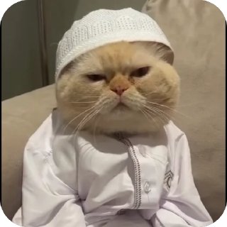 Video sticker 🫥 Moji660