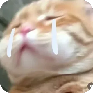 Telegram sticker 🫥 Moji660