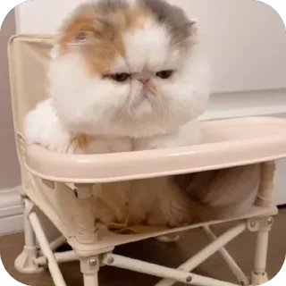 Telegram sticker 🫥 Moji660