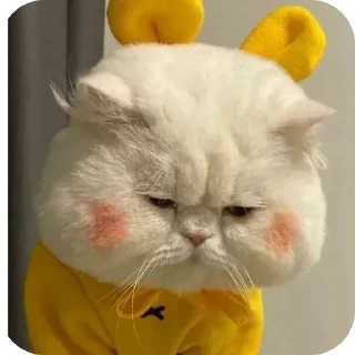 Telegram sticker 👍 Moji660