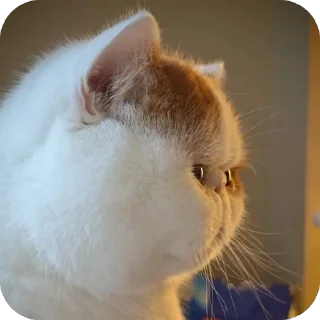 Sticker 🫥 Moji660