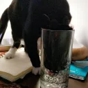 Telegram stiker 🥛 CatsAreSuperior