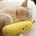 Telegram stiker 🍌 CatsAreSuperior
