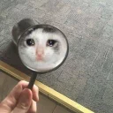 Telegram stiker 🔎 CatsAreSuperior