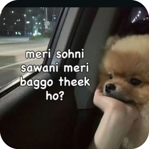 Telegram sticker 👍 Viᄂᄂλiп @villnx