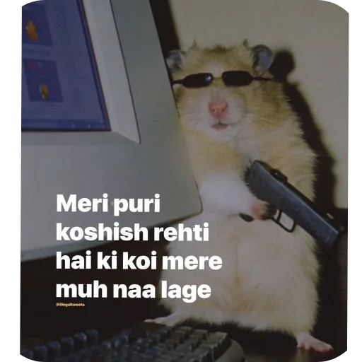 Telegram sticker 🐦 Viᄂᄂλiп @villnx