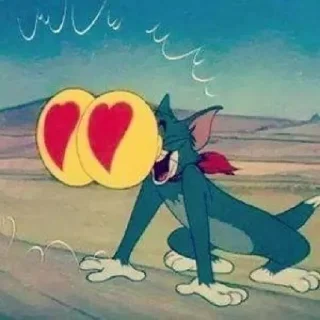 Video sticker 😍 بزازين الليل