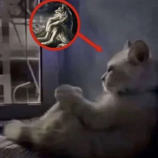 Telegram sticker 😤 Shuttumani starter :: @fStikBot