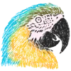 Sticker 🦜 набор #1 @nabroskiart