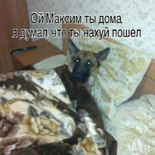 Telegram sticker 😴 Макс иди нахуй by @hater_ch