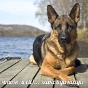 Video sticker 🙂 Макс иди нахуй by @hater_ch