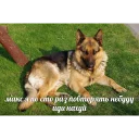 Video sticker 😠 Макс иди нахуй by @hater_ch