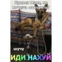 Telegram sticker 😉 Макс иди нахуй by @hater_ch