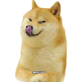 Telegram sticker 🤤 @only_SQ — @stckrRobot